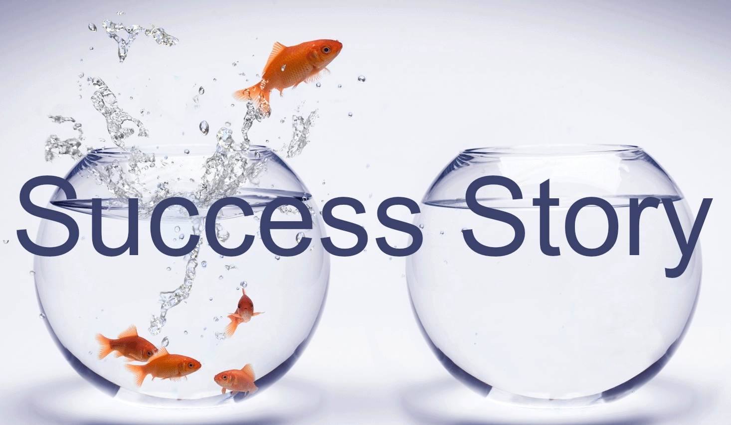 Tüm Bölümleri Geçmek: eProficiency + Essay Rehberi + Essay Kontrol